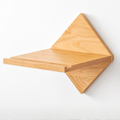Diamond designer bike wall mount, with shelf